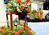 Paróquia São Tomé Apóstolo conclui festejos do padroeiro com procissão e Missa Solene