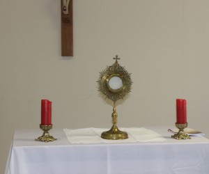 8ª Jornada Diocesana dos Coroinhas - Live