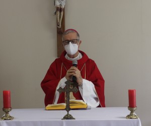 8ª Jornada Diocesana dos Coroinhas - Live