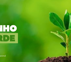 Junho verde : campanha visa mobilizar a sociedade para importância da conservação ambiental