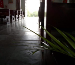 Domingo de Ramos em Quarentena