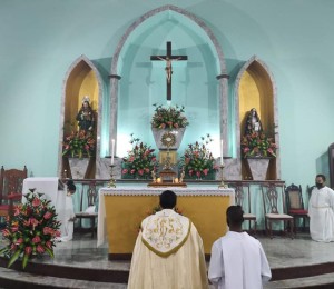 Padroeiro contras as pragas e doenças contagiosas, São Roque é festejado em Terra Nova