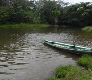 Cardeal Hummes preside abertura do Encontro da Igreja Católica na Amazônia 