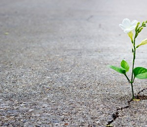 Eu acredito em dias melhores