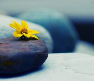       Acreditar para esperançar