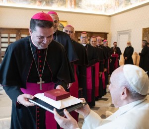Dom Dirceu e Dom Petrini encontraram-se com o  Papa Francisco durante visita ad limina