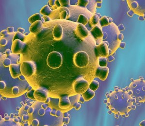 Nova Nota Pastoral sobre à Prevenção do Coronavírus