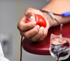 Papa agradece a doadores de sangue e encoraja-os nessa obra